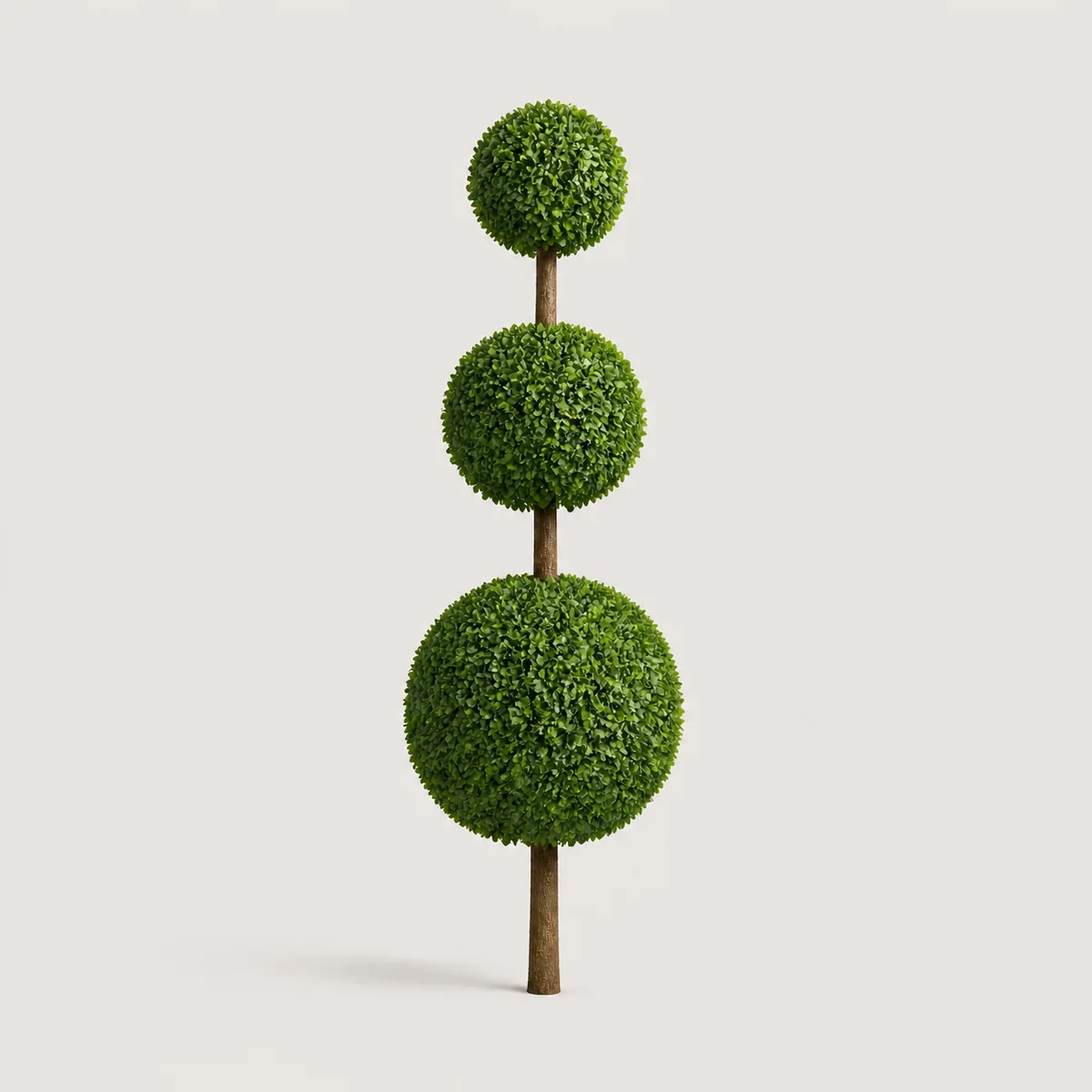 Clipped topiary, the real-world character this definition is written to capture
