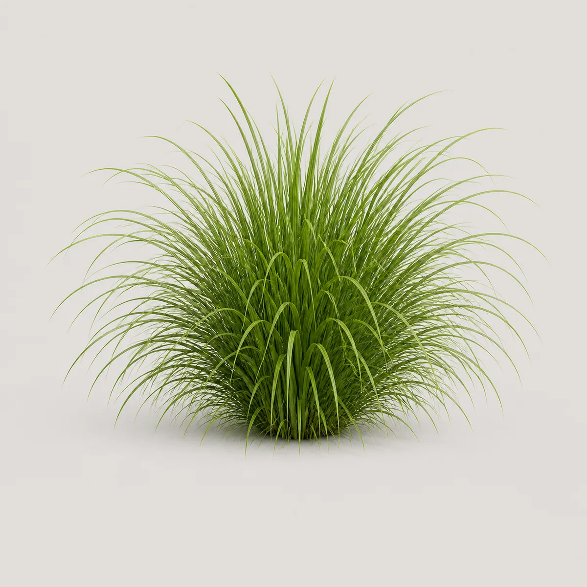 Grass clump 2, the real-world character this definition is written to capture